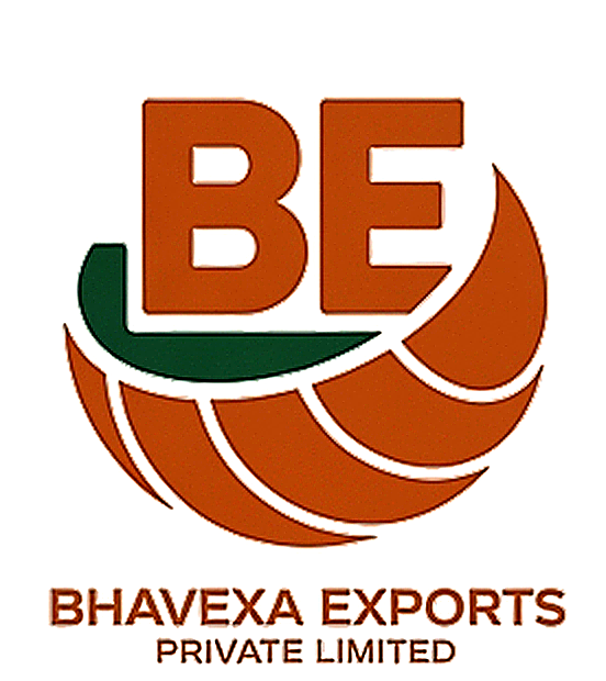 Bhavexa Logo